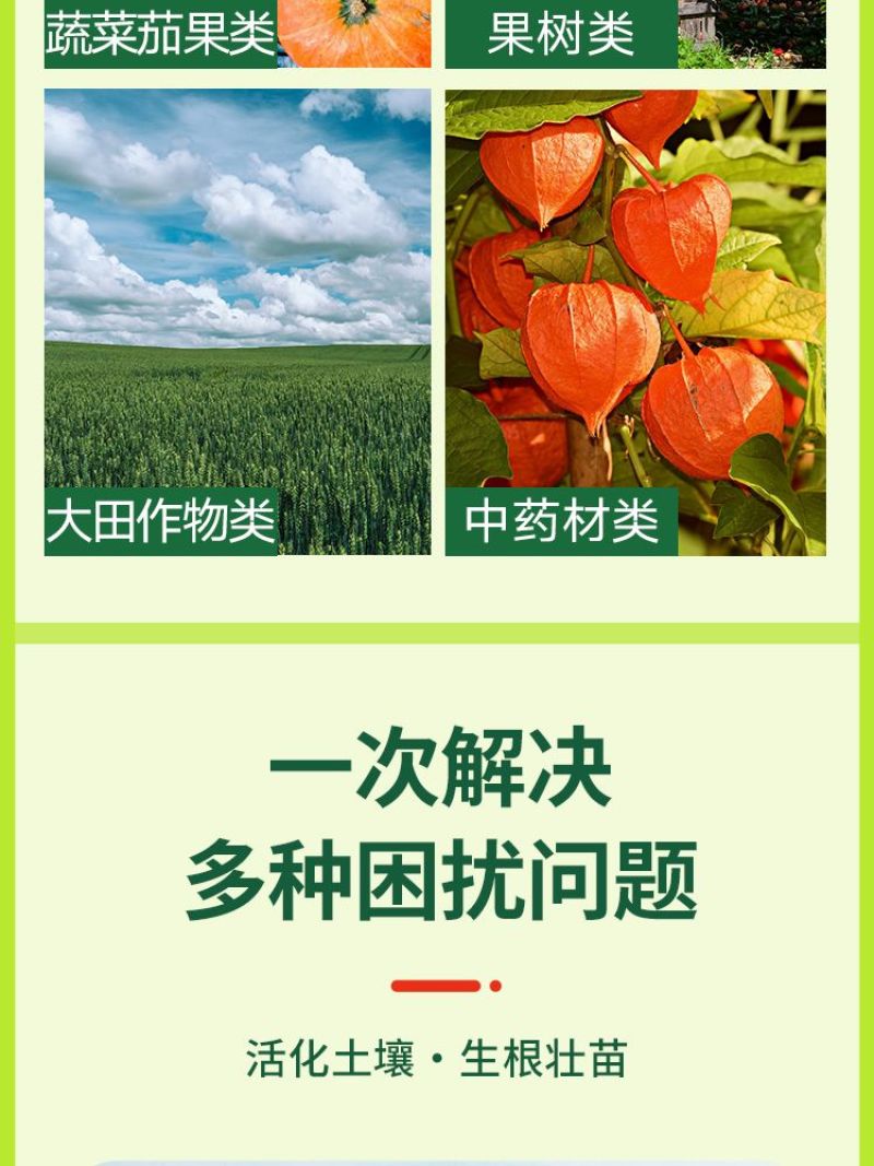 枯草芽孢杆菌蔬菜土壤改良菌农用防治病害杀菌剂微生物菌肥