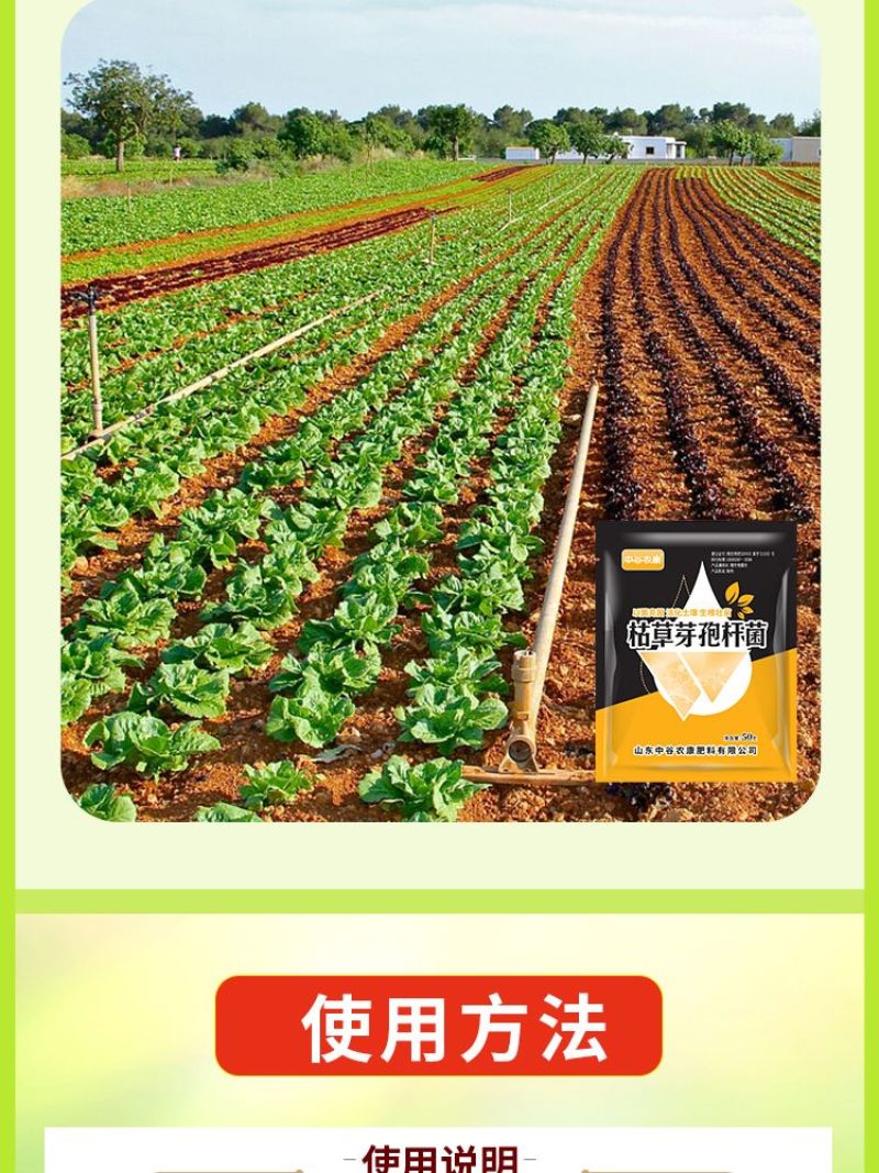 枯草芽孢杆菌蔬菜土壤改良菌农用防治病害杀菌剂微生物菌肥