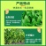 青菜专用肥料叶菜速长灵叶菜生长素蔬菜芹菜菠菜香菜黄叶药叶
