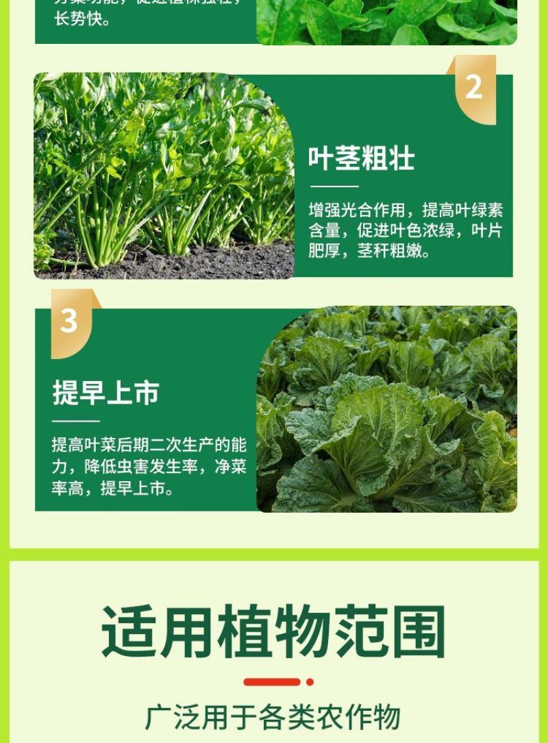 青菜专用肥料叶菜速长灵叶菜生长素蔬菜芹菜菠菜香菜黄叶药叶