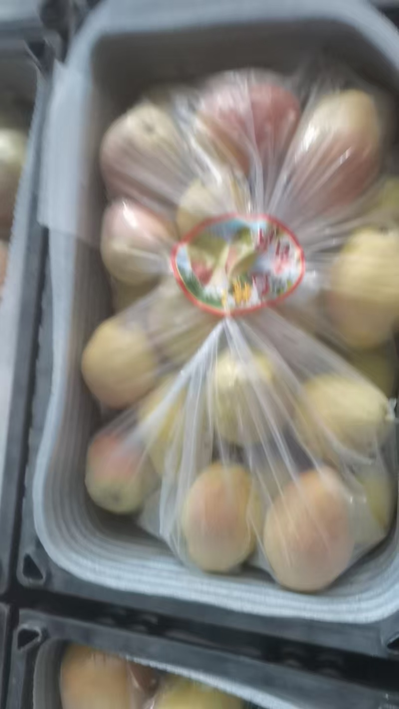 陕西本地酥梨货源，地头价，口感脆，香甜，欢迎采购