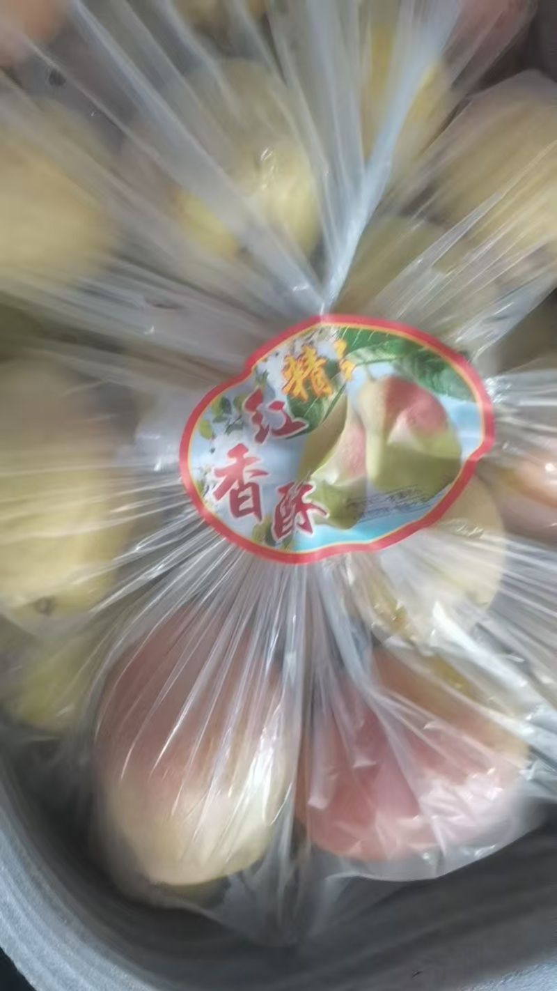 陕西本地酥梨货源，地头价，口感脆，香甜，欢迎采购