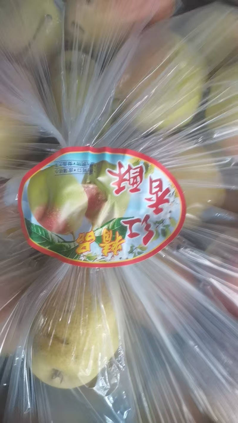 陕西本地酥梨货源，地头价，口感脆，香甜，欢迎采购