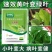 叶绿素叶面肥番茄草莓小麦花生玉米西红柿黄瓜番茄专用控旺药