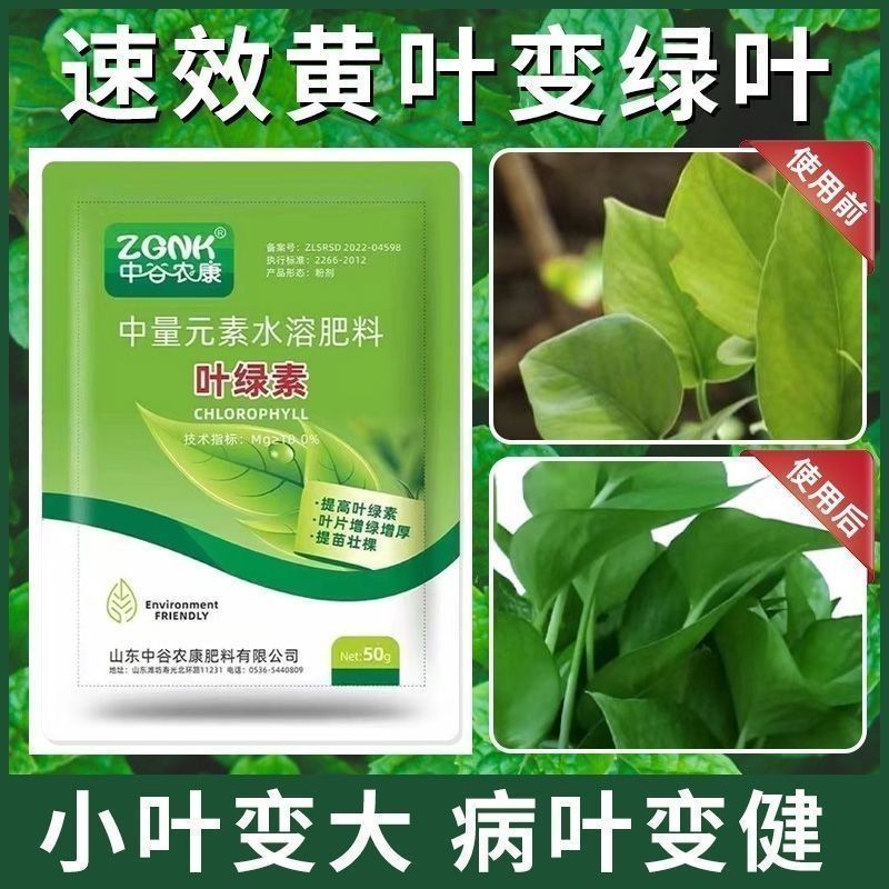 叶绿素叶面肥番茄草莓小麦花生玉米西红柿黄瓜番茄专用控旺药