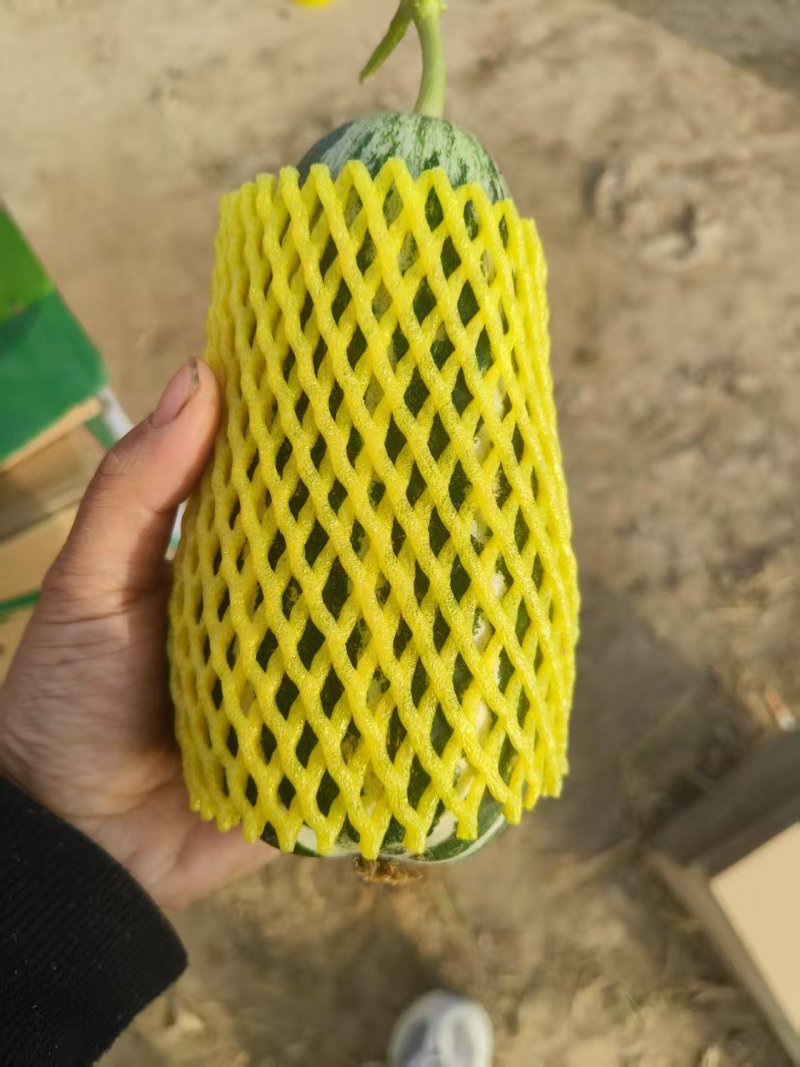 精品博洋甜瓜，产地货源，品质保证，支持看货，欢迎来电。