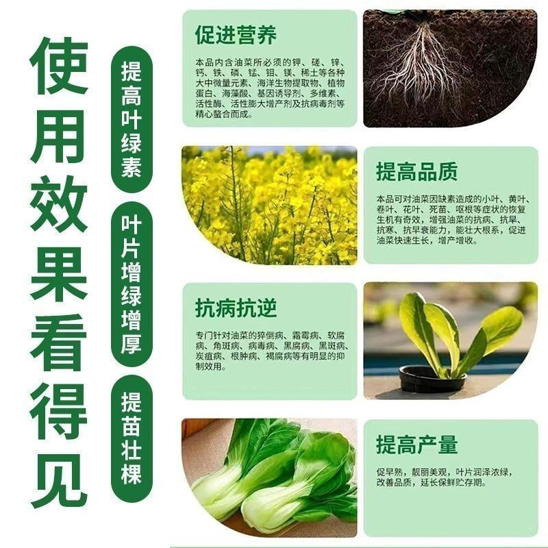 叶绿素叶面肥番茄草莓小麦花生玉米西红柿黄瓜番茄专用控旺药