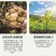 叶绿素叶面肥番茄草莓小麦花生玉米西红柿黄瓜番茄专用控旺药