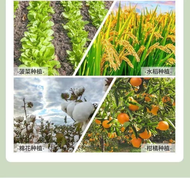 叶绿素叶面肥番茄草莓小麦花生玉米西红柿黄瓜番茄专用控旺药