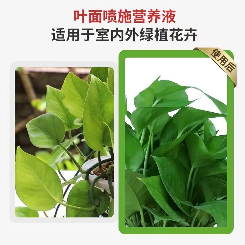 一喷绿氨基酸叶面肥叶绿素植物通用中微量元素水溶肥农用进口