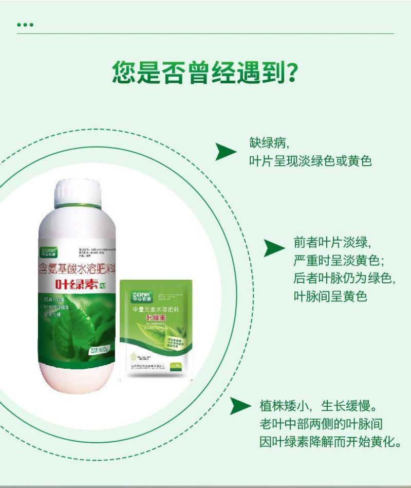 一喷绿氨基酸叶面肥叶绿素植物通用中微量元素水溶肥农用进口
