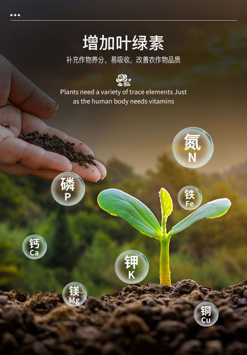 一喷绿氨基酸叶面肥叶绿素植物通用中微量元素水溶肥农用进口