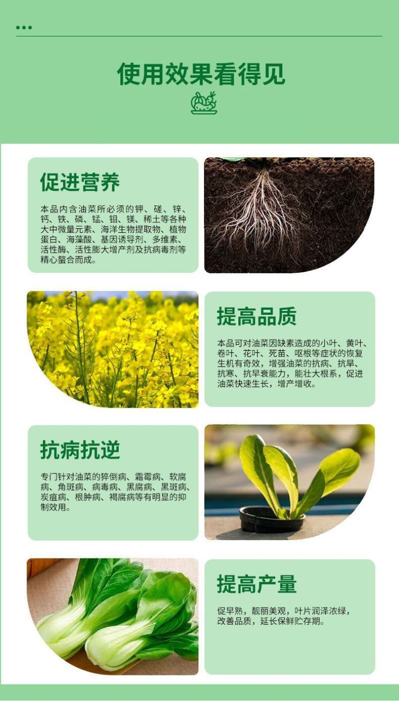 一喷绿氨基酸叶面肥叶绿素植物通用中微量元素水溶肥农用进口