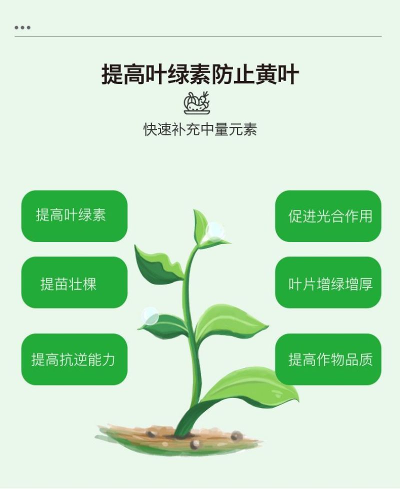 一喷绿氨基酸叶面肥叶绿素植物通用中微量元素水溶肥农用进口