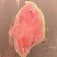 L600元谋小吊瓜，品质保证，价格优惠，产地直发