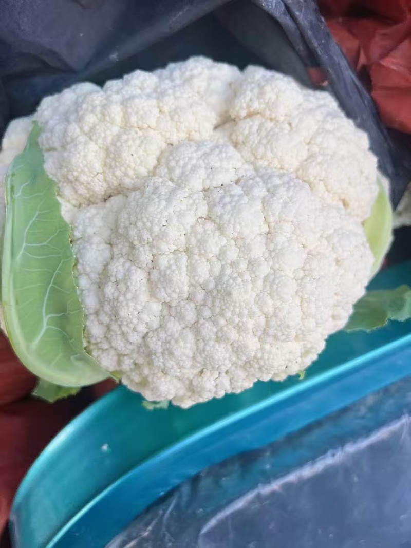 松花菜产地直发，万亩基地量大从优可视频看货