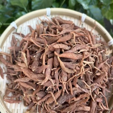 红皮麦冬红麦冬批发