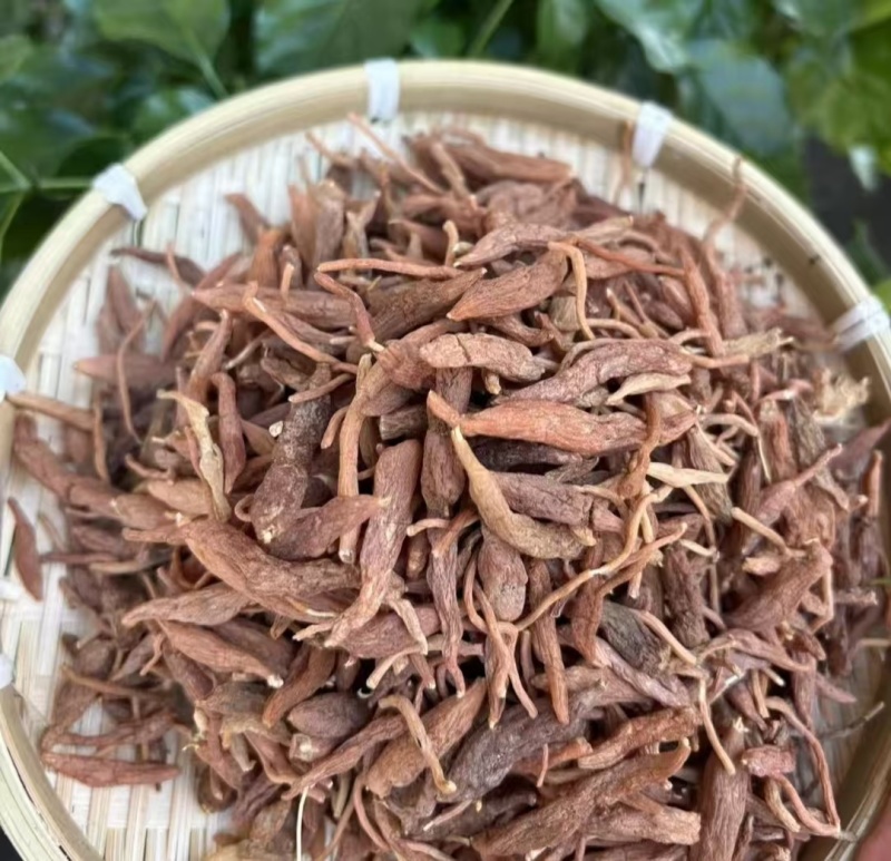 红皮麦冬红麦冬批发