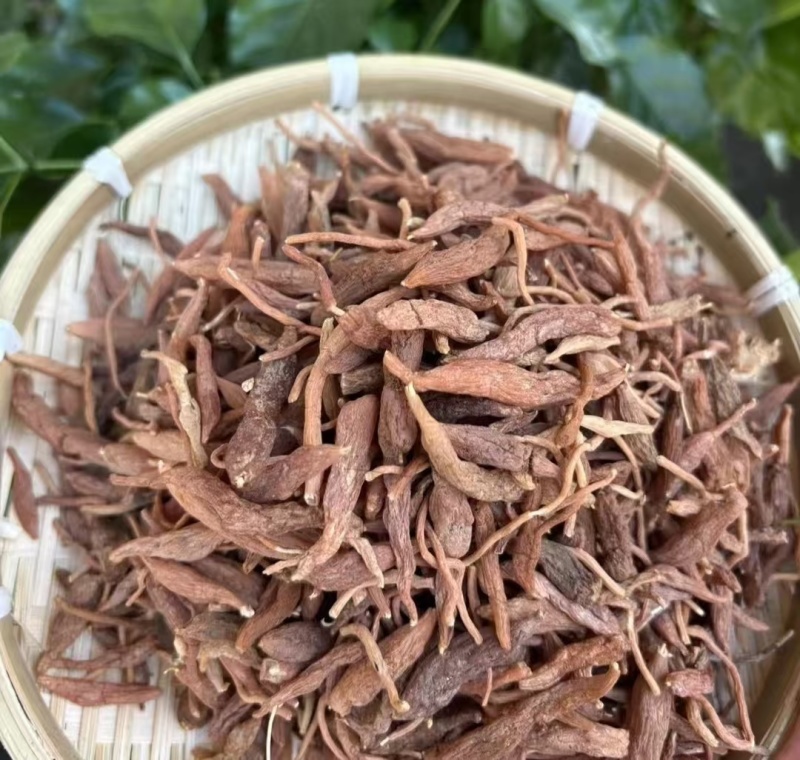 红皮麦冬红麦冬批发