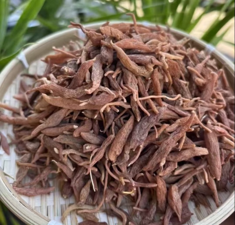 红皮麦冬红麦冬批发