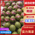 {推荐商家}全美2k小糖丸万亩基地，欢迎来电质量三包