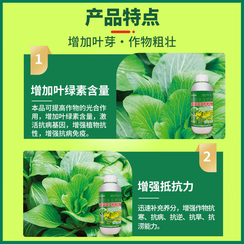 油菜丰产粒粒饱油菜专用肥料保花保荚膨果颗粒饱满抗病增产叶