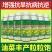 油菜丰产粒粒饱油菜专用肥料保花保荚膨果颗粒饱满抗病增产叶