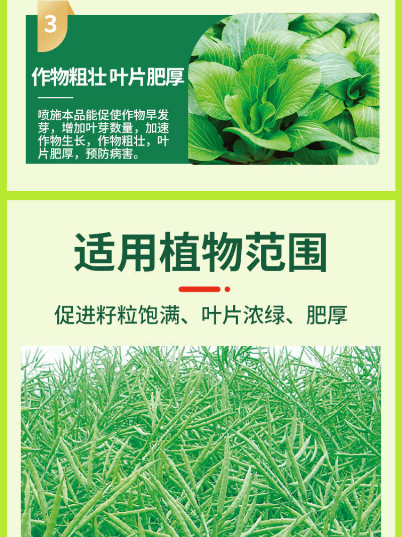 油菜丰产粒粒饱油菜专用肥料保花保荚膨果颗粒饱满抗病增产叶