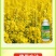 油菜丰产粒粒饱油菜专用肥料保花保荚膨果颗粒饱满抗病增产叶