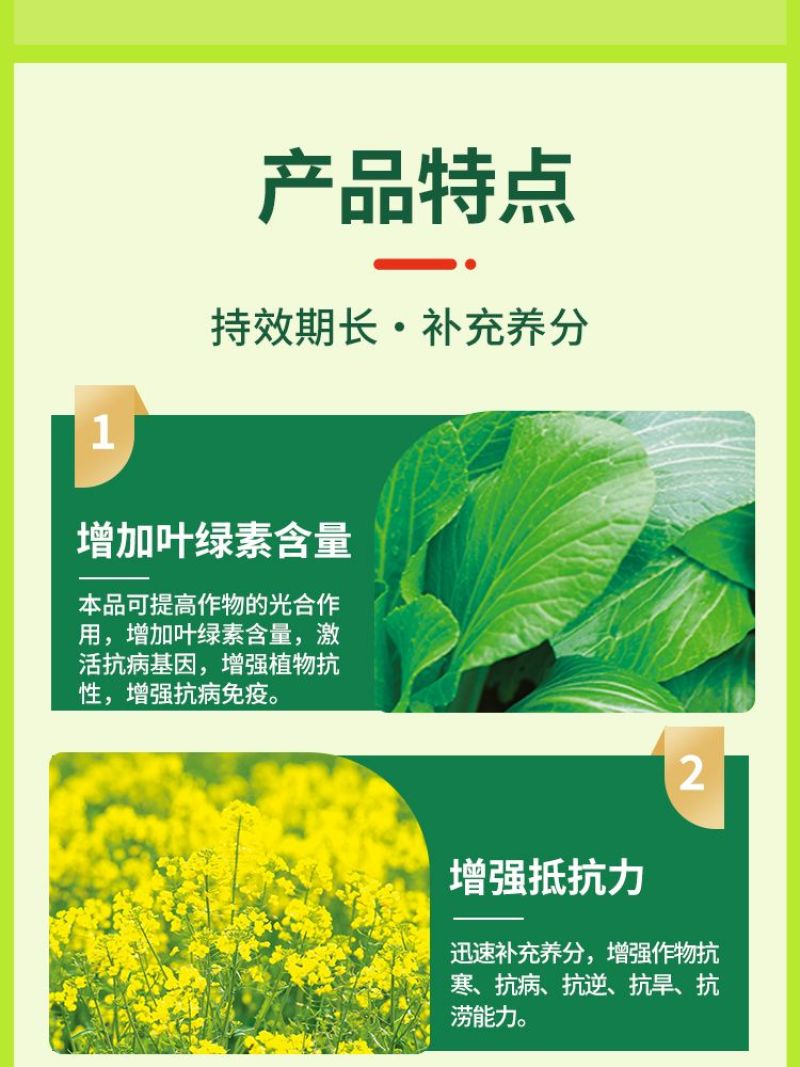 油菜丰产粒粒饱油菜专用肥料保花保荚膨果颗粒饱满抗病增产叶