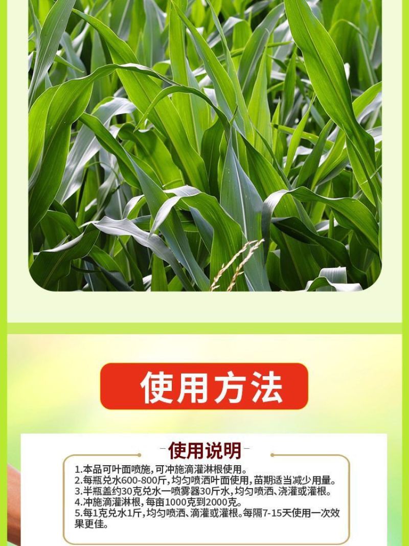 玉米金大棒抗倒伏促根抗病高产叶面肥玉米专用水溶肥促早熟抗