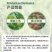 果树专用增甜剂葡萄柑橘枇杷草莓增甜剂退酸增甜剂膨果水果甜