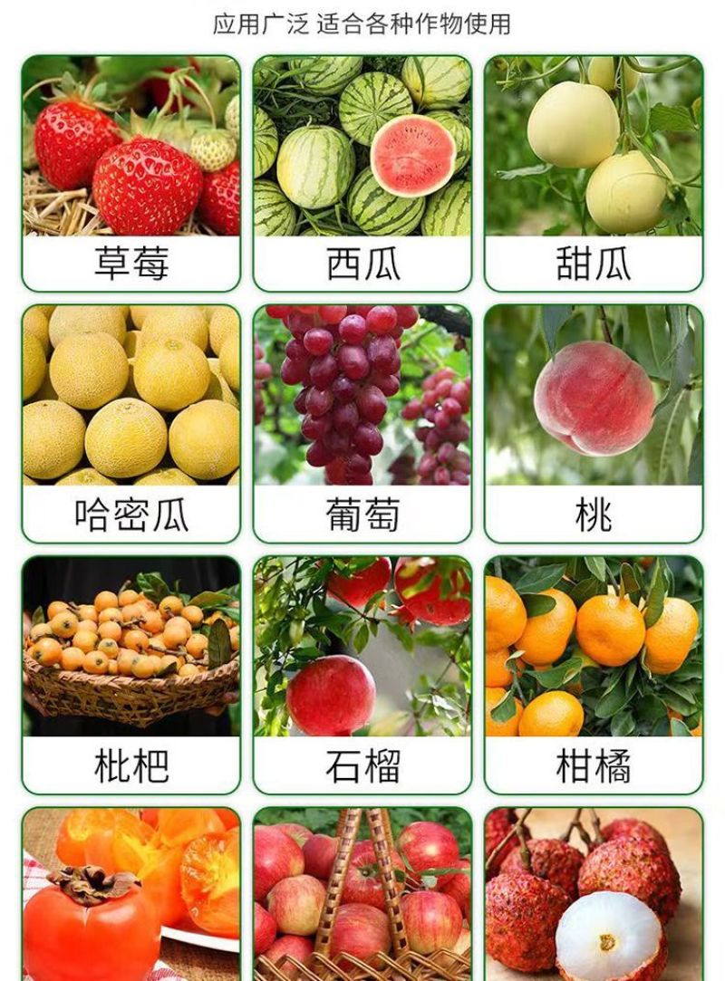 果树专用增甜剂葡萄柑橘枇杷草莓增甜剂退酸增甜剂膨果水果甜