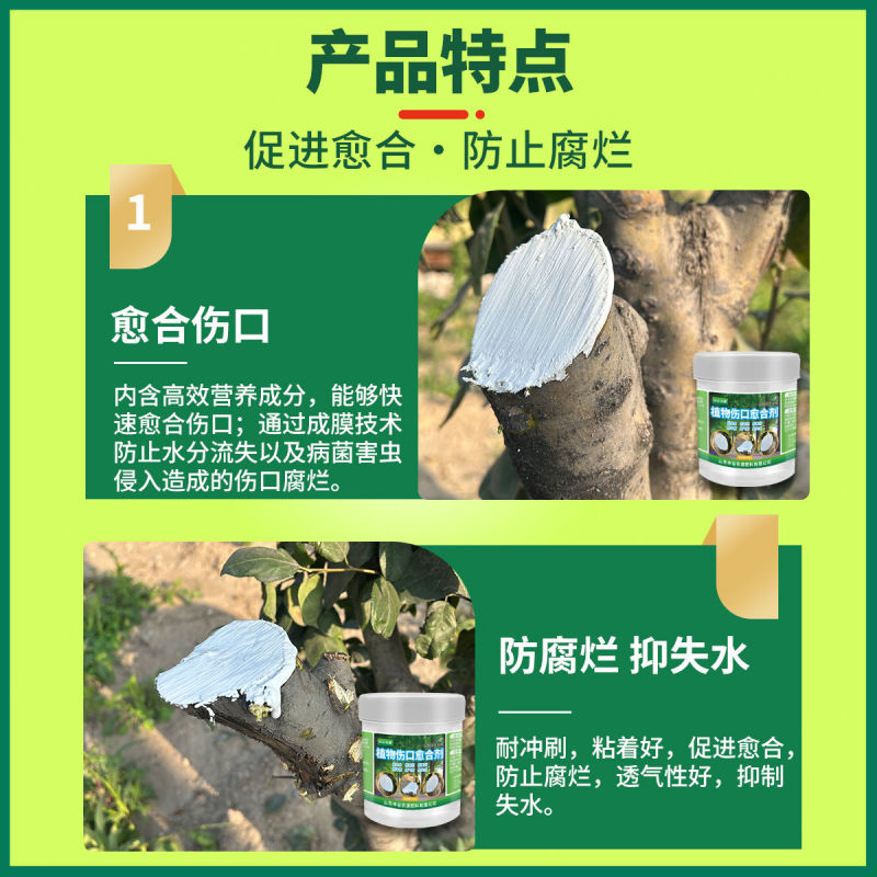 植物伤口愈合剂果树封口涂抹剂树皮修复大树修复剂营养苗木愈