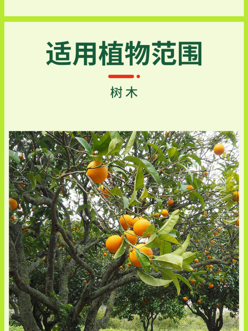 植物伤口愈合剂果树封口涂抹剂树皮修复大树修复剂营养苗木愈