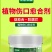 植物伤口愈合剂果树封口涂抹剂树皮修复大树修复剂营养苗木愈
