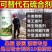 清满园果树蔬菜大棚大田清园专用代替石硫合剂杀菌抑菌杀虫卵