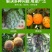 清满园果树蔬菜大棚大田清园专用代替石硫合剂杀菌抑菌杀虫卵