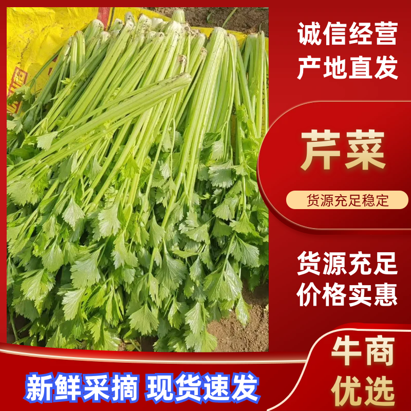 河南新鲜香芹/当季带根香芹/带叶芹菜