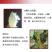 冰糖心哈密
