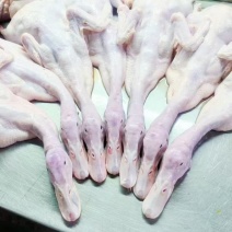【实力推荐】白条鸭厂家直发品质保证优质鸭肉可视频看货