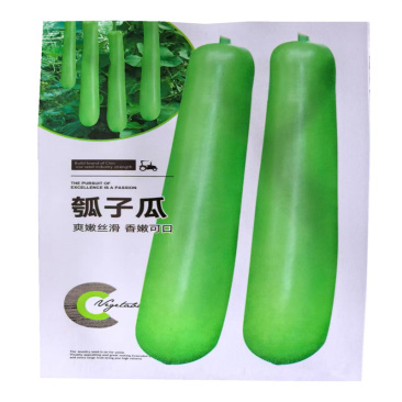 长瓠瓜种子春秋季瓠子瓜种子蒲瓜菜葫芦种子耐寒早熟