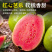 广西芭乐红心番石榴新鲜水果
