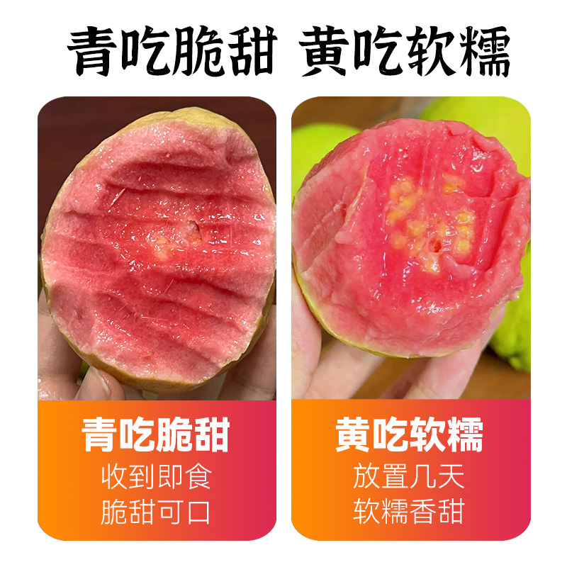 广西芭乐红心番石榴新鲜水果