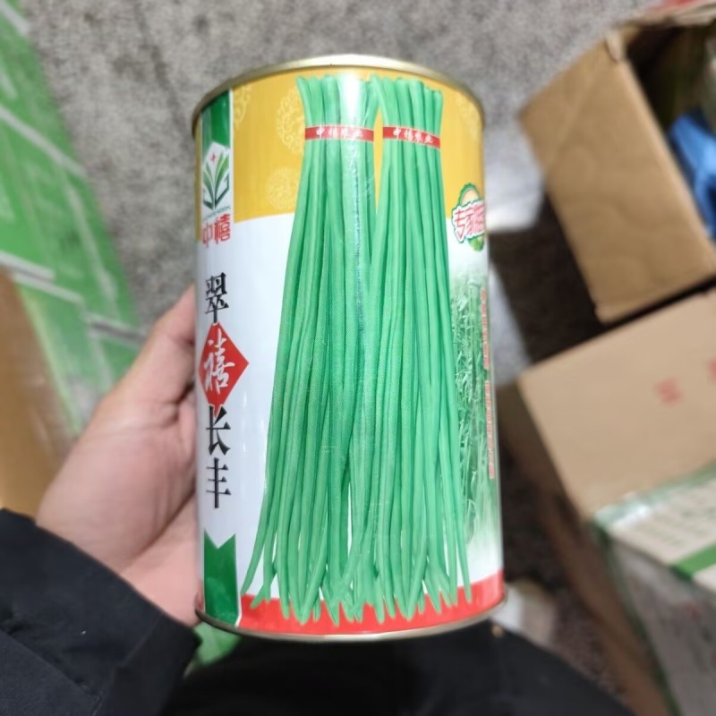 翠禧长丰豇豆种子500克罐装耐高温回头荚多抗病
