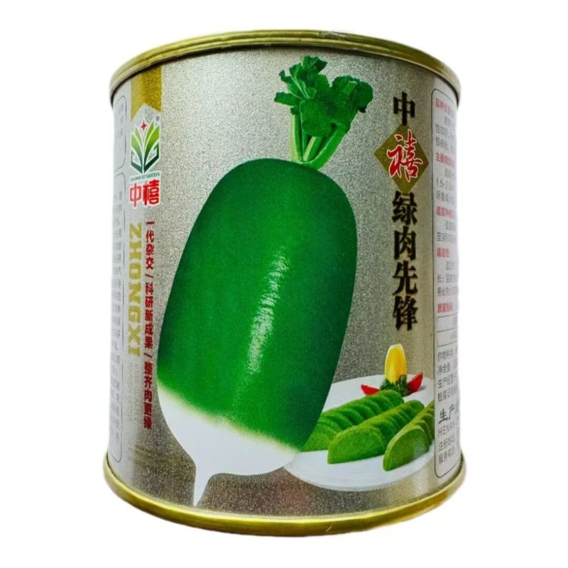 中禧绿肉先锋萝卜种子早熟单根重1公斤左右绿皮绿肉