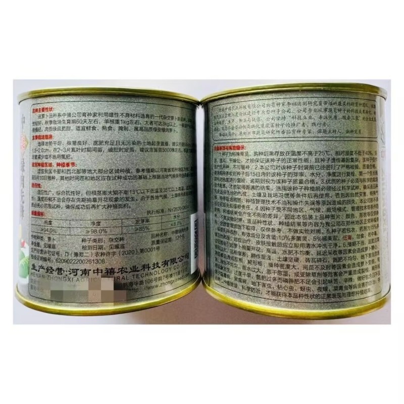 中禧绿肉先锋萝卜种子早熟单根重1公斤左右绿皮绿肉