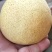 精品酥梨大量供应零售批发均可以欢迎下单品尝量大价优
