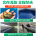 【基地直销】宽体金线蛭水蛭苗包技术包回收支持视频看货
