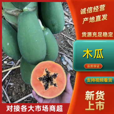 云南河口8成熟新鲜采摘大青红心木瓜热带水果批发